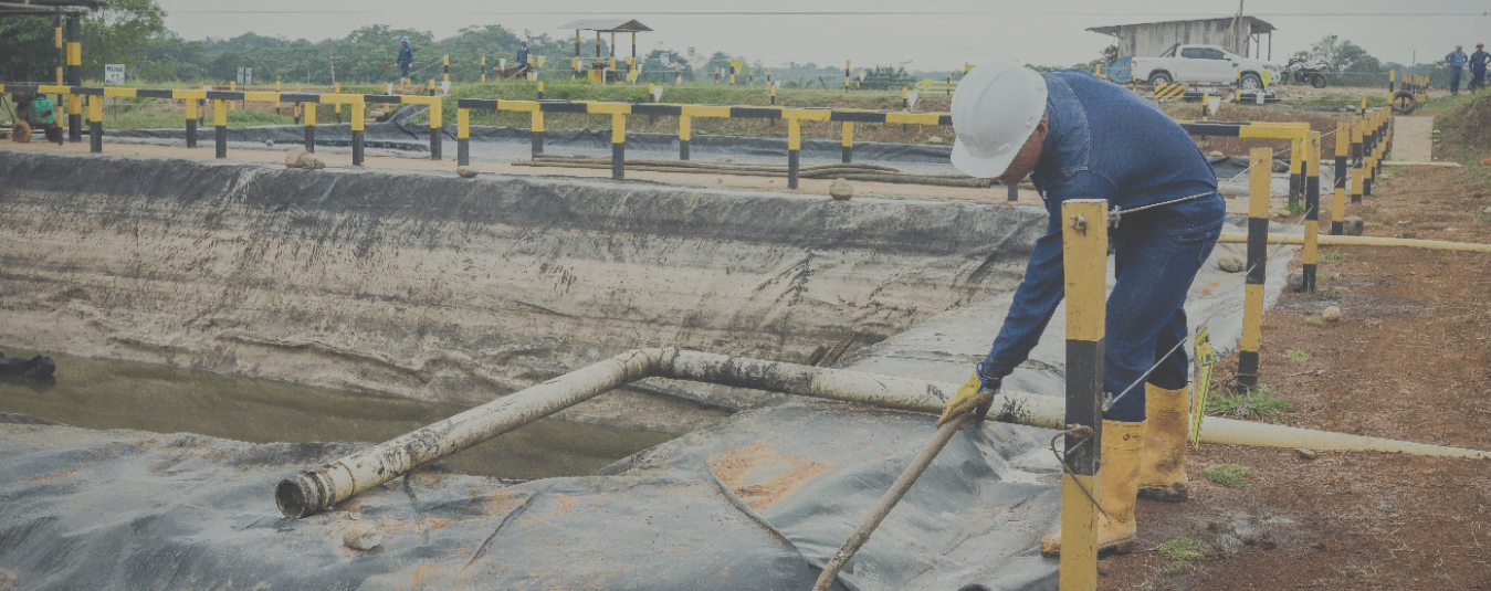 • Elaboración de estudios de impacto ambiental.